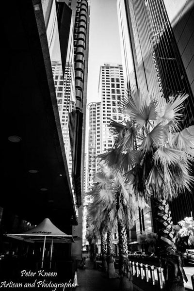 Sydney CBD High Rise Buildings