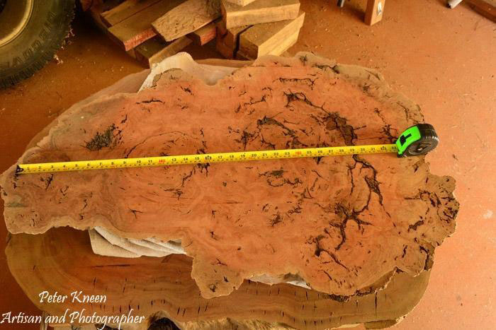 Work in Progress on a large burl