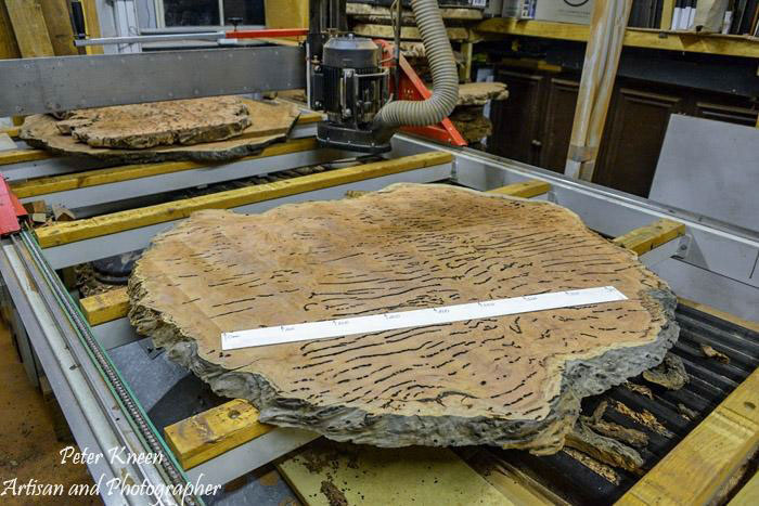 Large Burls to be Milled
