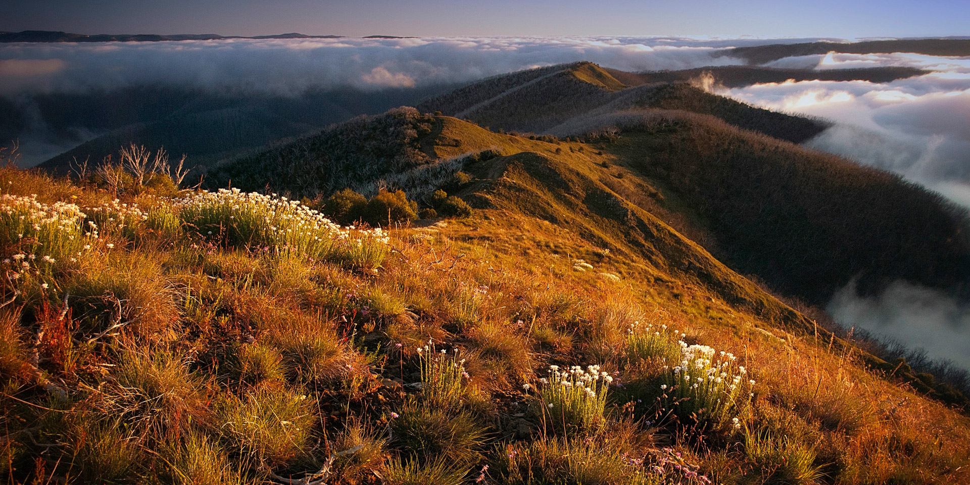 Sunrise over Blue Rag Trig Trail