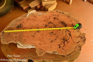 Work in Progress on a large burl