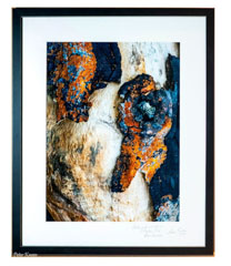 SHFPhoto 06