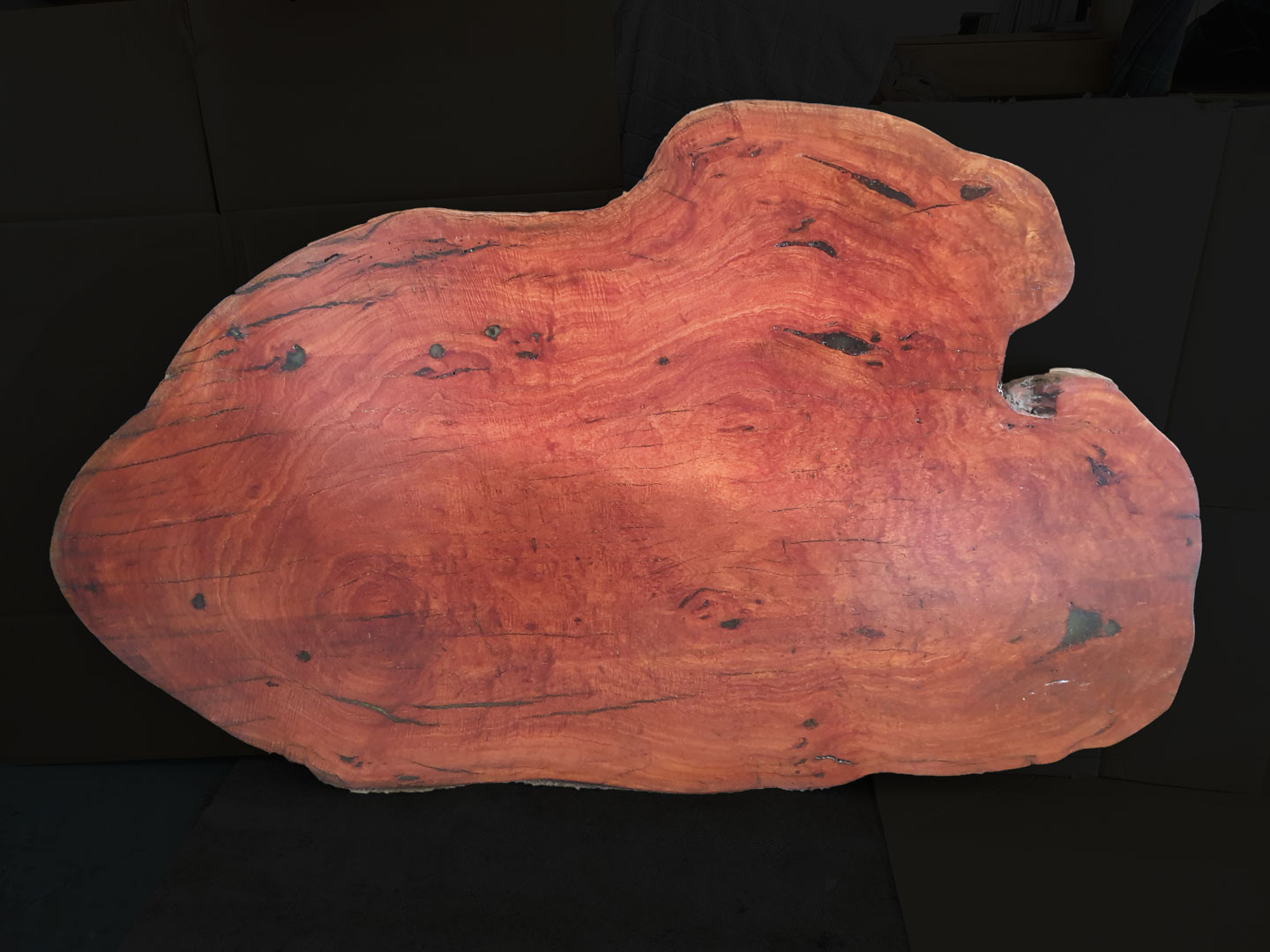 Richly Veined Red Gum Burl