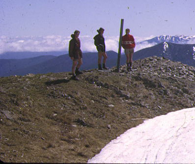 Summit_FTop.png