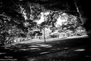 Memorial Park in Mortdale NSW