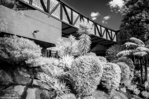 New Overpass at Oatley Station