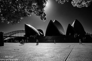 Sydney Opera House and Harbour Bridge