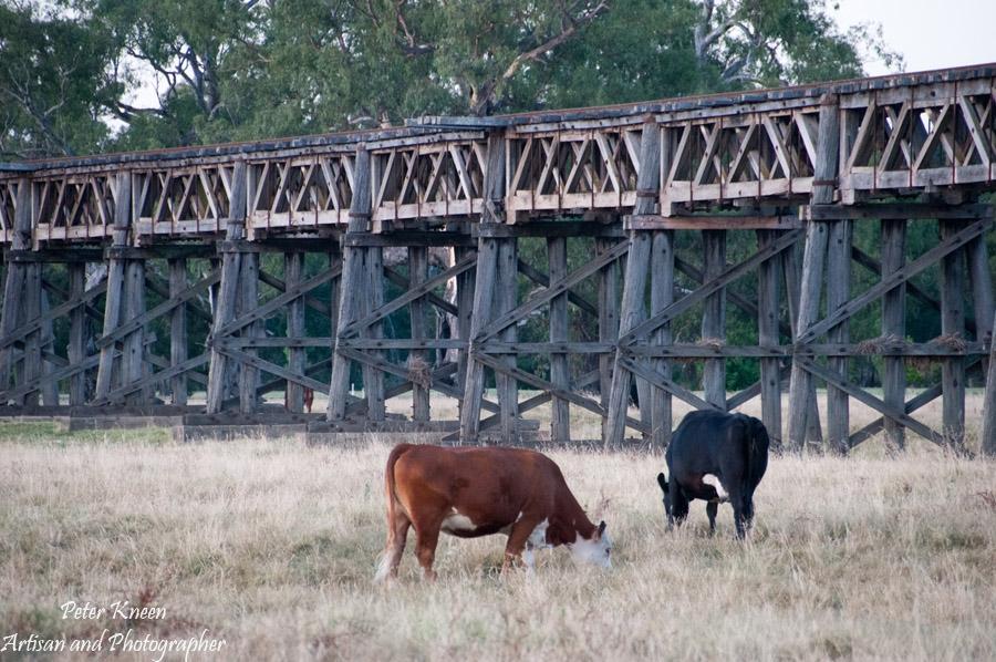 GundagaiRailBridgePK13