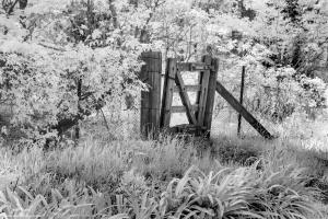 Wooden Gate and Wire Fence