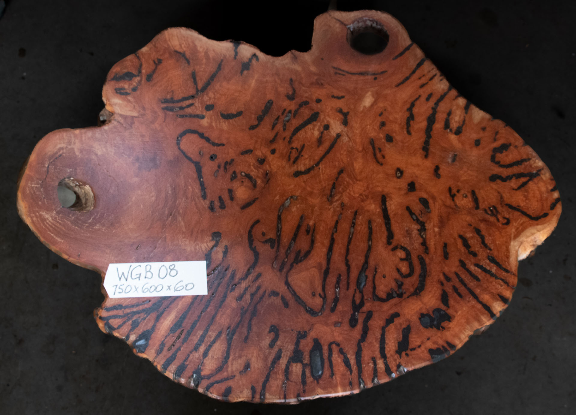 WGB08 Live edge red gum burl with rich pattern of veins