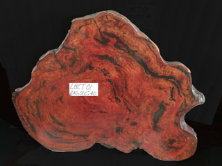 Large Burls for Substantial Coffee or Display Table