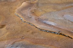 Rock Pool Art F