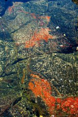 Rock Pool Art N