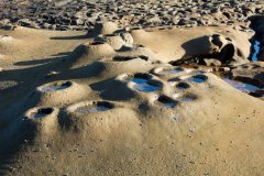 Rock Pool Art I