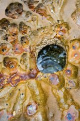 Rock Pool Art N
