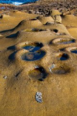 Rock Pool Art K