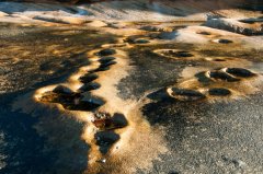 Rock Pool Art C