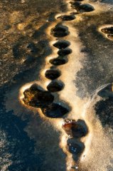 Rock Pool Art B
